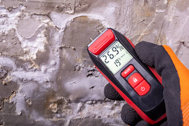 Best Residential Mold Removal  in Peabody, KS