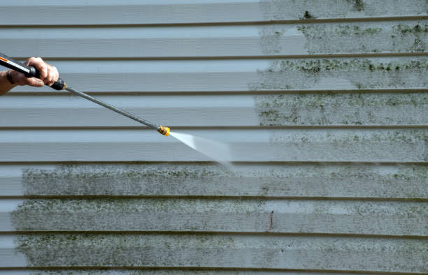 Best Mold Damage Repair  in Peabody, KS