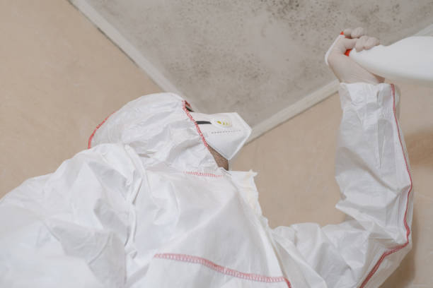 Best Commercial Mold Removal  in Peabody, KS