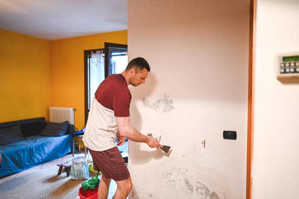 Best Crawl Space Mold Removal  in Peabody, KS